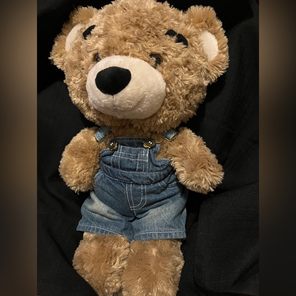 Build-A-Bear Workshop, specifically appearing to be the Happy Hugs Bear Model